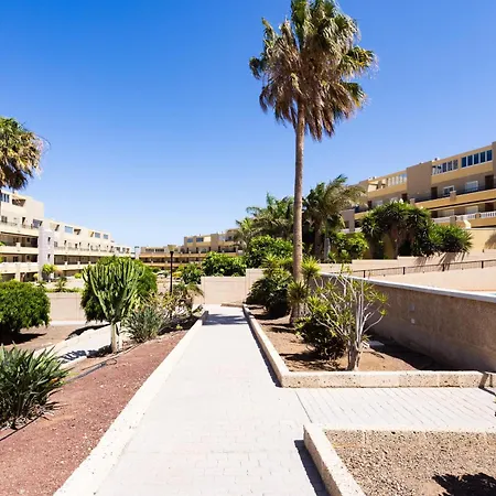 Апартаменты Home2book Cozy & Bright El Medano, Pool & Terrace Эль-Медано